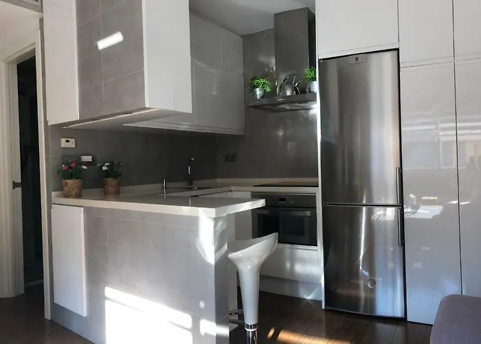 Luxury Playamar Apartment